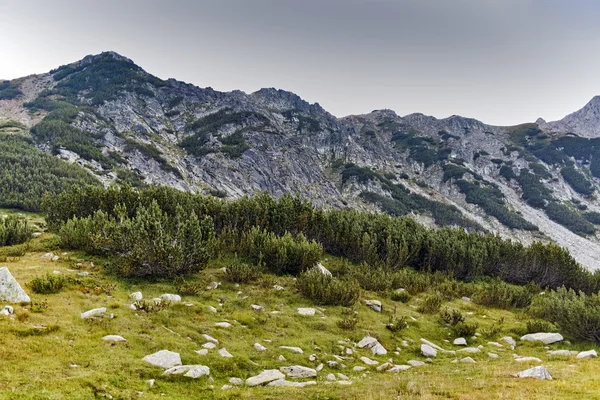 Sinanitsa zirveye, Pirin Dağı iz
