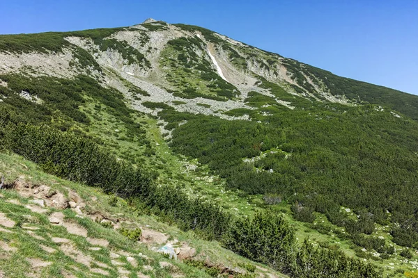 Панорама навколо Bezbog Вершина гори Пірін — стокове фото