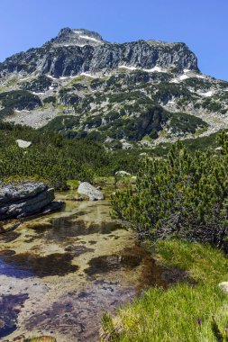 Dzhangal tepe ve Banski gölleri, Pirin Dağı