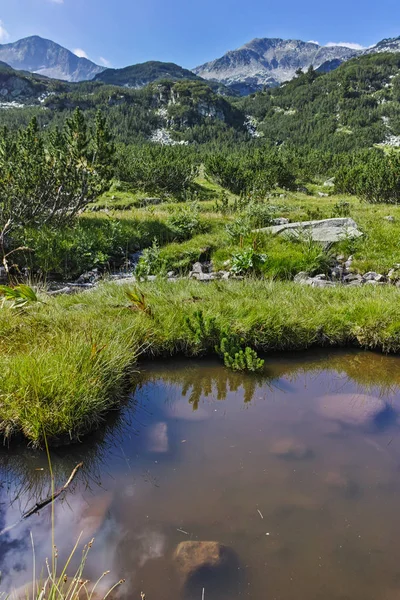 惊人的景观与 Banderishki 鸡峰，皮林山 — 图库照片