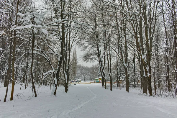 Vinter Panorama med snedækkede træer i South Park i byen Sofia - Stock-foto