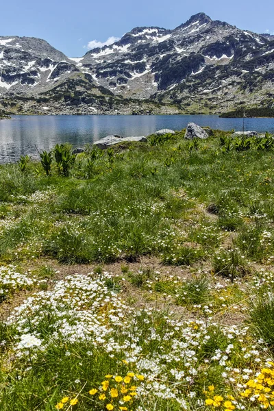 Amazing Panorama of Dzhano peak and Popovo lake, Pirin Mountain — Stock Photo, Image