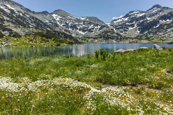 Atemberaubendes Panorama des Dshano-Gipfels und Popowo-Sees, Pirin-Gebirge — Stockfoto