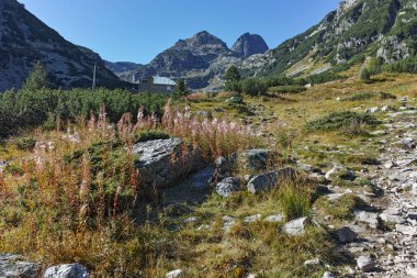 Patika Malyovitsa tepeye, Rila Dağı