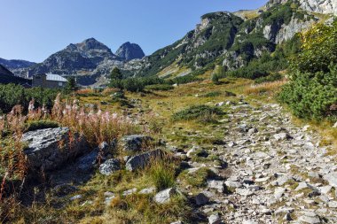 Patika Malyovitsa tepeye, Rila Dağı