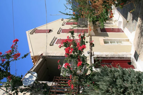 Відображають, Kefalonia, Греція - 7 вересня 2012: Будинок з квітами в відображають села, Kefalonia, Греція — стокове фото