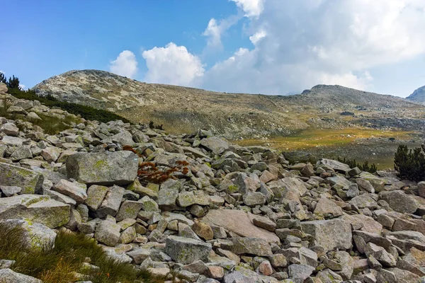 Fantastiska landskap av Spano Pole, Pirin berget — Stockfoto