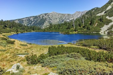 Balık Vasilashko Gölü, Pirin Dağı ile muhteşem manzara