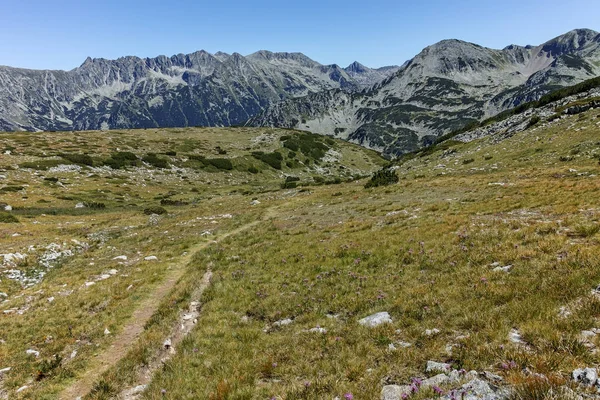 Incredibile paesaggio estivo della montagna di Pirin — Foto Stock