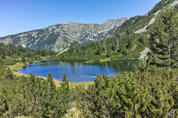 Amazing Landscape dengan danau Fish Vasilashko, Pirin Mountain — Stok Foto