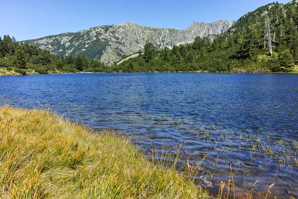 Verbazingwekkende landschap met vis Vasilashko lake, Pirin-gebergte — Stockfoto