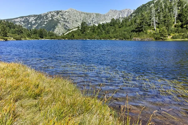 Дивовижний краєвид з риби Vasilashko озера, гори Пірін — стокове фото