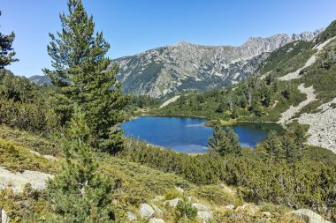 Şaşırtıcı Panorama balık Vasilashko Gölü, Bulgaristan