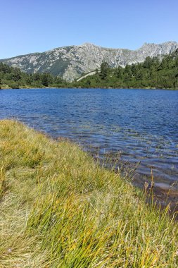 Şaşırtıcı Panorama balık Vasilashko Gölü, Bulgaristan