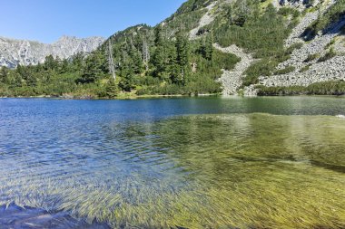 Şaşırtıcı Panorama balık Vasilashko Gölü, Bulgaristan