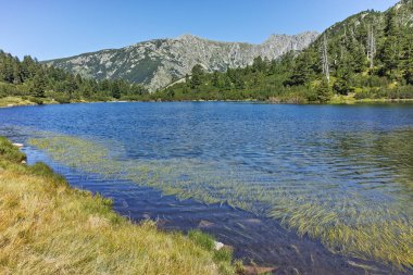 Şaşırtıcı Panorama balık Vasilashko Gölü, Bulgaristan