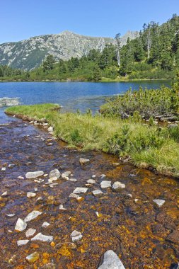 Şaşırtıcı Panorama balık Vasilashko Gölü, Bulgaristan