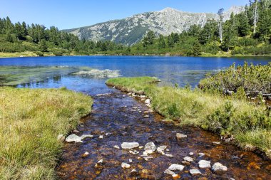 Şaşırtıcı Panorama balık Vasilashko Gölü, Bulgaristan