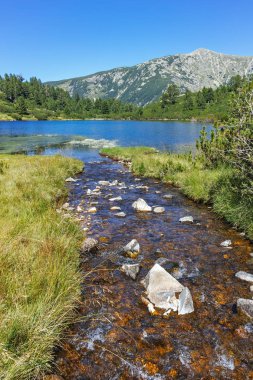 Şaşırtıcı Panorama balık Vasilashko Gölü, Bulgaristan