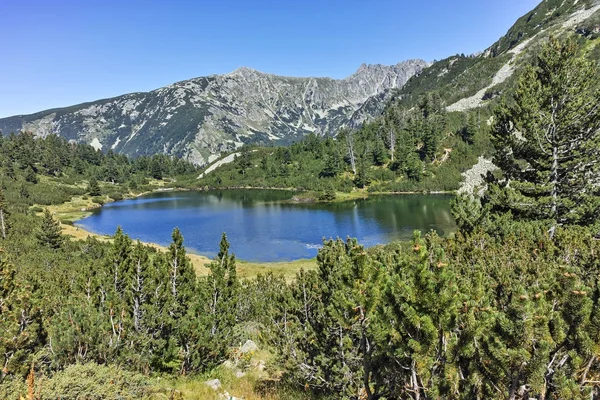 Amazing Panorama of Fish Vasilashko lake,  Bulgaria — Stock Photo, Image