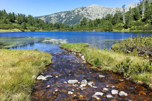 Şaşırtıcı Panorama balık Vasilashko Gölü, Bulgaristan
