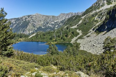 Balık Vasilashko Gölü, Pirin Dağı ile muhteşem manzara