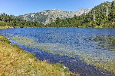 Balık Vasilashko Gölü, Pirin Dağı ile muhteşem manzara
