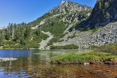 Balık Vasilashko Gölü, Pirin Dağı ile muhteşem manzara