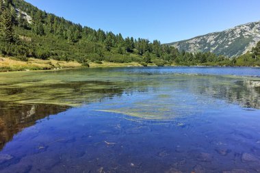Balık Vasilashko Gölü, Pirin Dağı ile muhteşem manzara