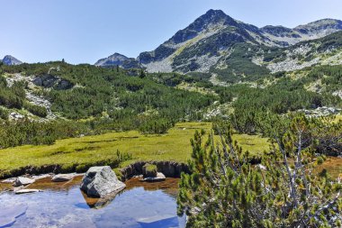 Valyavitsa Nehri ve Valyavishki Kınalı tepe, Pirin Dağı ile muhteşem manzara