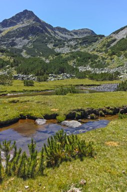 Valyavitsa Nehri ve Valyavishki Kınalı tepe, Pirin Dağı ile muhteşem manzara