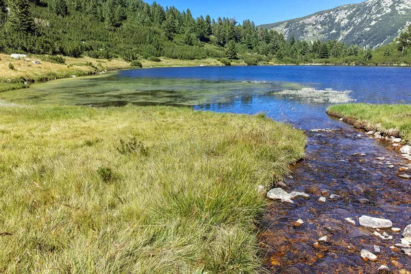 Balık Vasilashko Gölü, Pirin Dağı ile muhteşem manzara — Stok fotoğraf