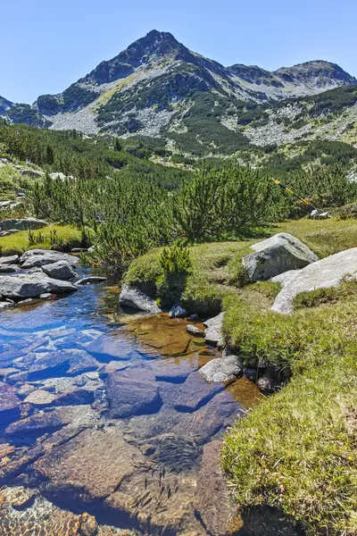 Hämmästyttävä maisema Valyavitsa joen ja Valyavishki chukar huippu, Pirin Mountain — kuvapankkivalokuva