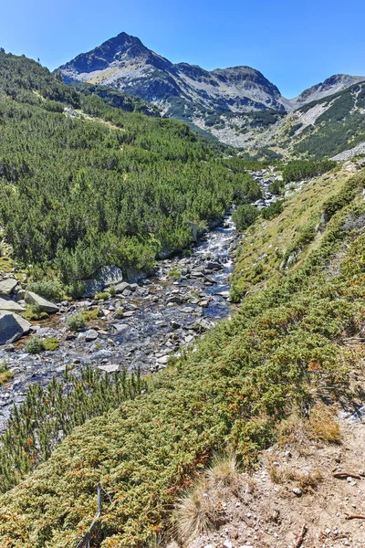 Bentang alam yang menakjubkan dengan sungai Valyavitsa dan puncak Valyavishki chukar, Pirin Mountain — Stok Foto