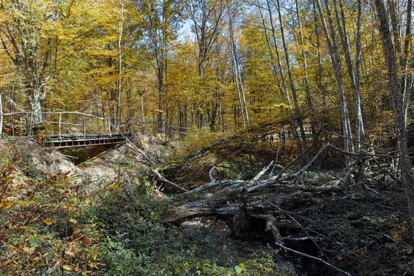 Paysage d'automne incroyable avec jaune près de la ville du diable dans la montagne Radan — Photo