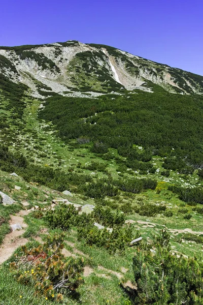 Panorama intorno alla cima del Bezbog, Pirin Mountain — Foto Stock
