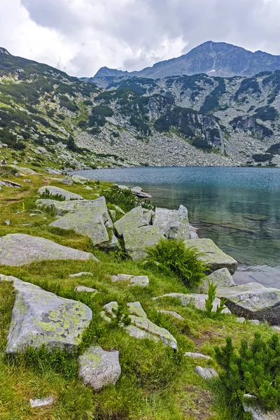 Bănderiški Čukar Peak Pesce Lago Montagna Pirin Bulgaria — Foto Stock