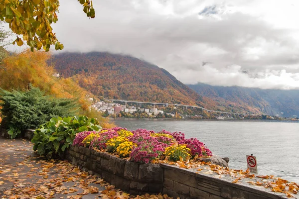 Montreux Svájc Október 2015 Őszi Nézet Partra Montreux Genfi Canton — Stock Fotó