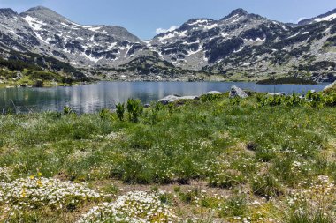 Şaşırtıcı Panorama Dzhano tepe ve Popovo Gölü, Pirin Dağı, Bulgaristan