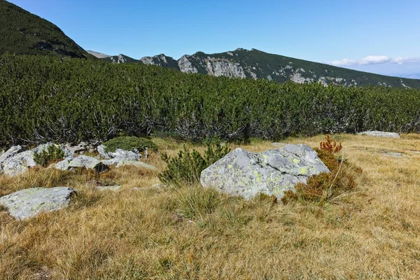 Increíble Paisaje Montaña Rila Cerca Del Pico Malyovitsa Montaña Rila —  Fotos de Stock