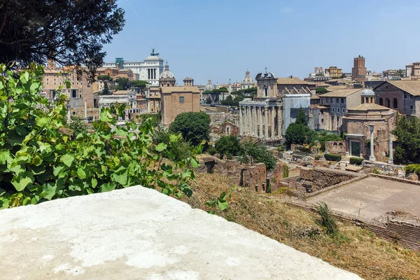 Рим Италия Июня 2017 Года Панорамный Вид Руины Палатинского Холма — стоковое фото