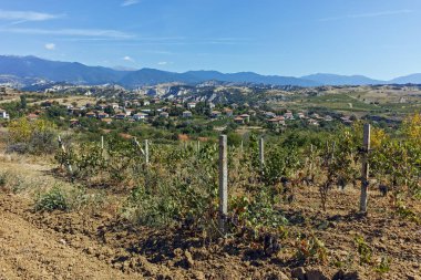 Melnik town, bölge Yukarı Cuma, Bulgaristan yakınındaki Lozenitsa Köyü ve asma bahçeleri panoramik manzaralı