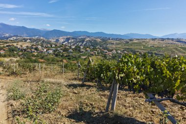 Melnik town, bölge Yukarı Cuma, Bulgaristan yakınındaki Lozenitsa Köyü ve asma bahçeleri panoramik manzaralı