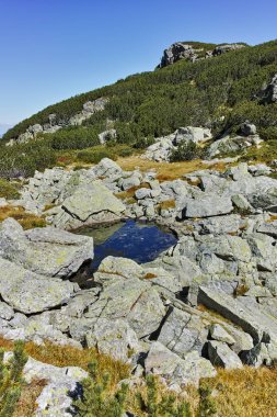 Muhteşem yaz yatay, dağ gölü, Rila Dağı, Bulgaristan