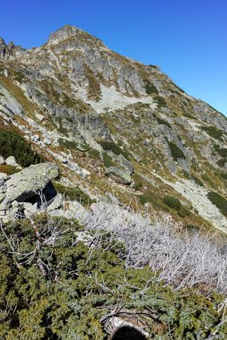 Malyovishka Vadisi nehir, Rila Dağı, Bulgaristan