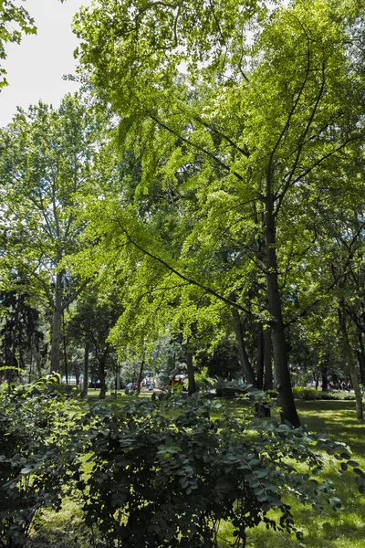 Plovdiv Bulgária Junho 2017 Panorama Jardim Czar Simeão Cidade Plovdiv — Fotografia de Stock