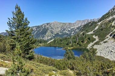Balık Vasilashko Gölü, Pirin Dağı, Bulgaristan ile muhteşem manzara