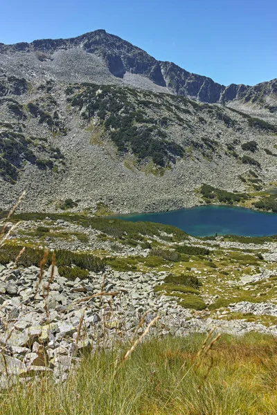 Vista Incrível Lago Dalgoto Long Pirin Mountain Bulgária — Fotografia de Stock
