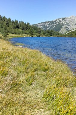 Balık Vasilashko Gölü, Pirin Dağı ile muhteşem manzara,