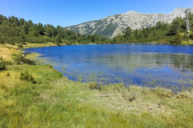 Balık Vasilashko Gölü, Pirin Dağı ile muhteşem manzara,